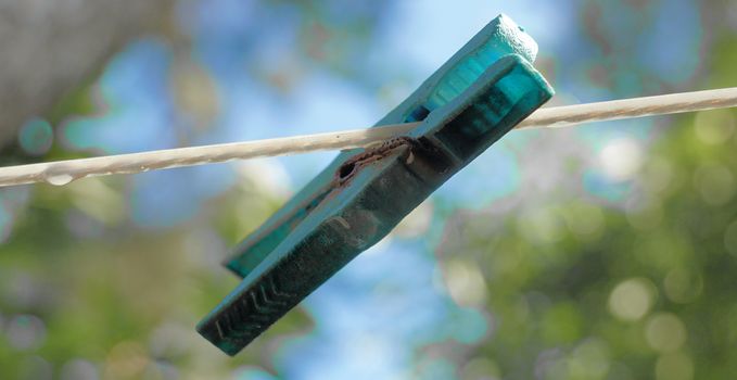 Abstract picture of an old clothespin