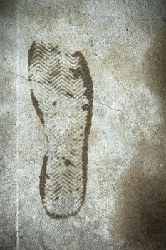 An imprint of a shoe wet on the road.