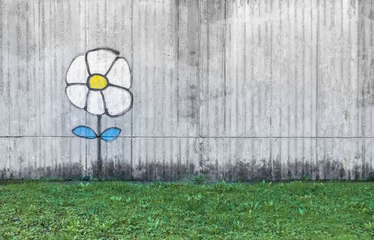 Graffiti of a daisy painted on concrete rustic wall. Ideal for concepts and backgrounds. Space for text.