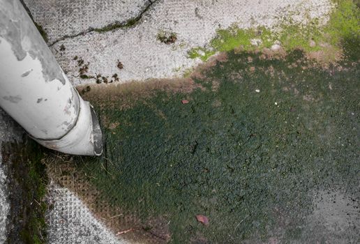View from above of a gutter with green mossy drainage, on a old wall.