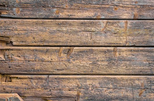 Wood plank texture for your background