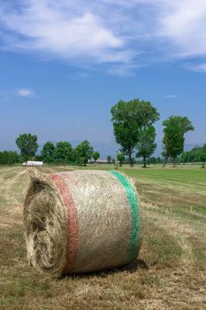 A bale of hay in a field, in the Italian countryside.