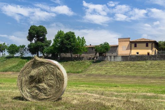 A bale of hay in a field, in the Italian countryside.