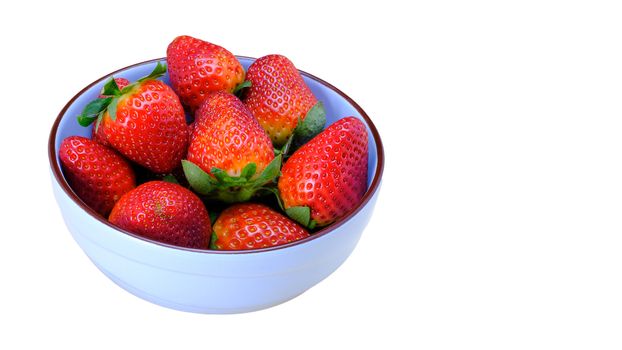 a bunch of large strawberries on a blue ceramic bowl, isolated on white background, copy space