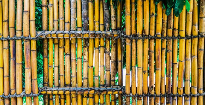 A garden fence made of bamboo stalks and coconut ropes