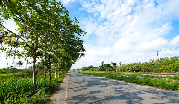 Image of an almost empty countryside road by the railway in the morning. Peaceful, calm and fresh atmosphere concept.