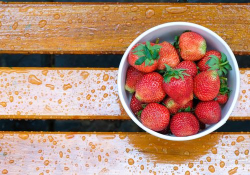 a bucket of ripe, fresh strawberries on a wet garden bench, natural light, with copy space