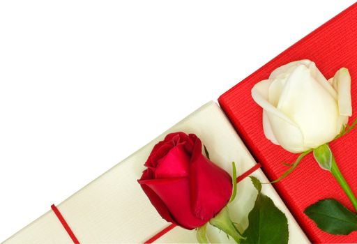 two beautiful roses on paper boxes, isolated on white background