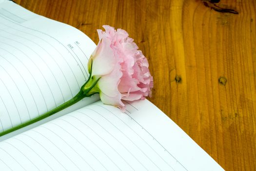 a pink lisianthus flower lying on top of empty pages of a notebook, brown wooden table background