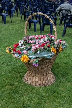 colorful flower basket on meadow