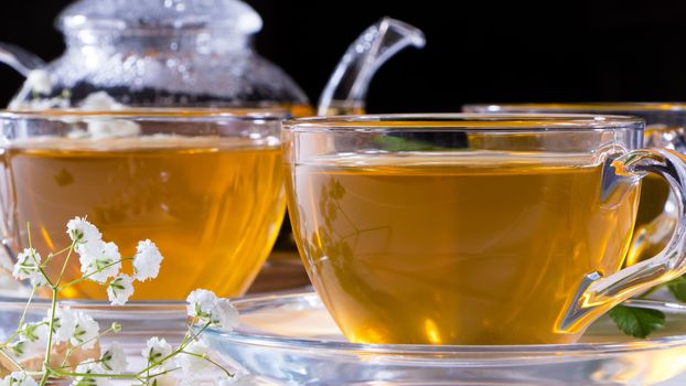 Teapot and mugs with green tea, cashew nuts, green leaves and white gypsophila flowers.Tea ceremony, traditional drink. Afternoon tea, homelike. Oriental, cozy, preparation, japanese, leafy, herbal