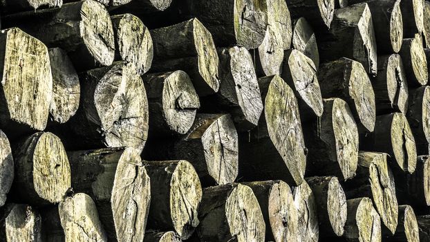 Warehouse with a large stack of wood, background, texture, abstract