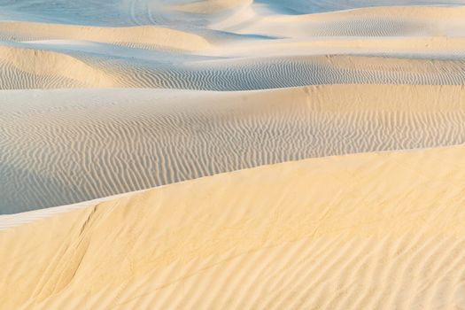 Beautiful sand dune in Thar desert, Jaisalmer, Rajasthan, India.