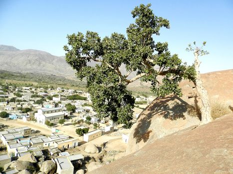 Eritrea, Africa - 08/10/2019: Travelling around the vilages near Asmara and Massawa. An amazing caption of the trees, mountains and some old typical houses with very hot climate in Eritrea.