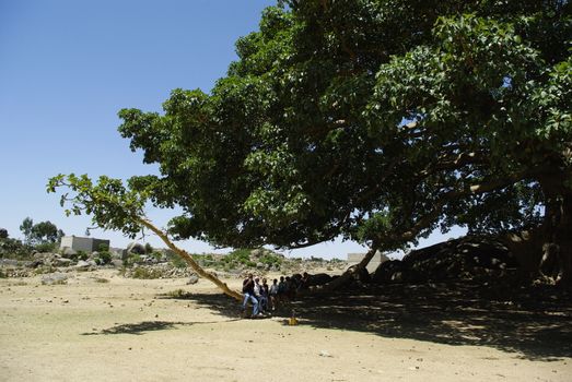 Eritrea, Africa - 08/10/2019: Travelling around the vilages near Asmara and Massawa. An amazing caption of the trees, mountains and some old typical houses with very hot climate in Eritrea.