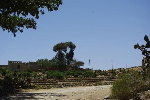 Eritrea, Africa - 08/10/2019: Travelling around the vilages near Asmara and Massawa. An amazing caption of the trees, mountains and some old typical houses with very hot climate in Eritrea.