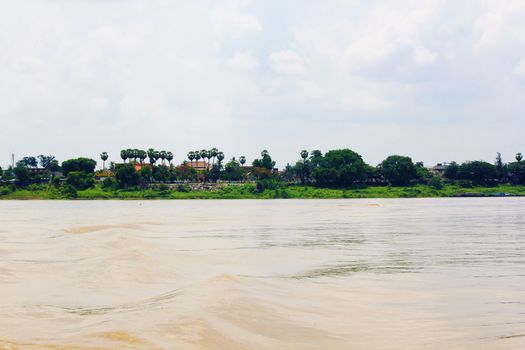 View in the middle of the river, overlooking the bank