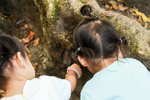 Asian little child girls are exploring nature by using a magnifying glass.