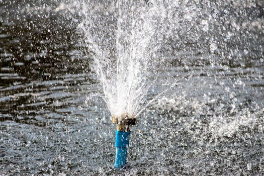 Close up view of sprinkler spraying water on blur background in garden.