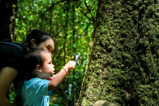 Asian little child girls are exploring nature by using a magnifying glass with her mother ..