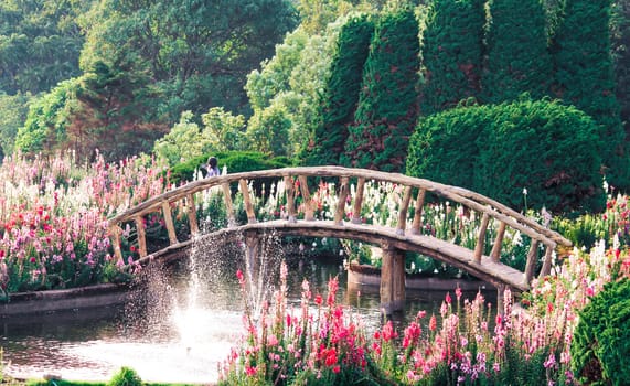 Wood bridge in the garden with flowers, tree and fountain from Springer. Nature background. Select focus.