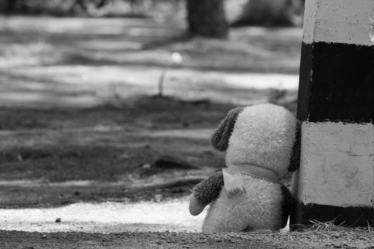 A doll sitting near kilo pillar​ near road in pine forest alone at Chiang Mai, Thailand. Black-white picture.