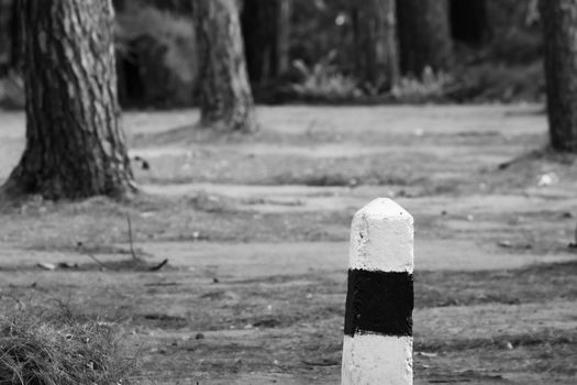 The kilo pillar​ near road in pine forest at Chiang Mai, Thailand. Black-white picture.