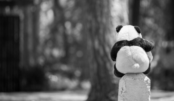 A doll sitting on kilo pillar​ near road in pine forest alone at Chiang Mai, Thailand. Black-white picture.