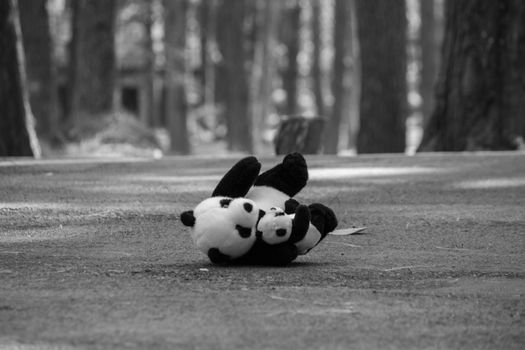 The panda doll was left alone on the road in the pine forest. Emotional and Expression concept.