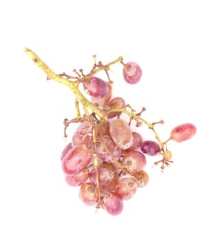 Red grapes bunch isolated on a white background.