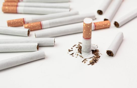 World No Tobacco Day; Broken cigarette with many Cigarettes isolated on white background.