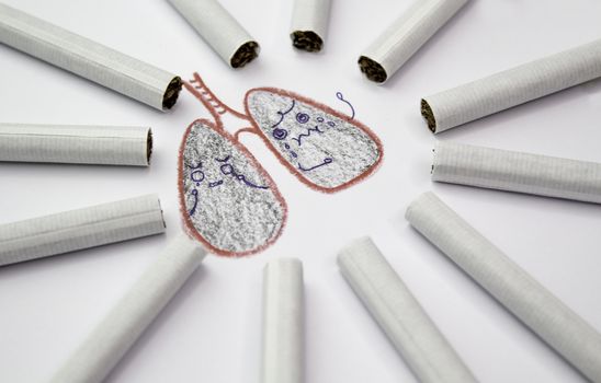 World No Tobacco Day; Sort cigarettes is a circle around bad lungs on white background.