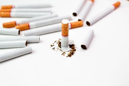 World No Tobacco Day; Broken cigarette with many Cigarettes isolated on white background.