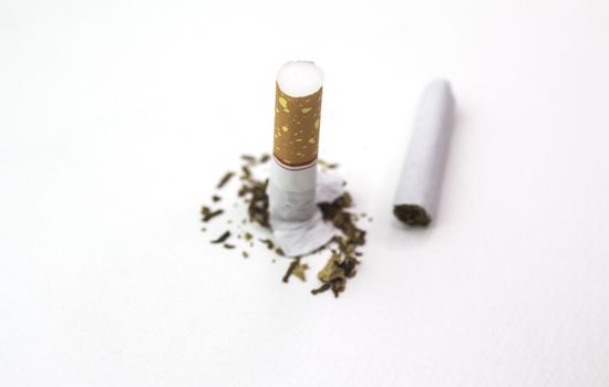 World No Tobacco Day; Broken cigarette isolated on white background. Cigarette destruction concept.