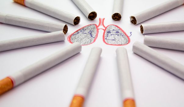 World No Tobacco Day; Sort cigarettes is a circle around bad lungs on white background.