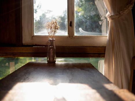 Dry flower vase on wooden table near the window in room with sunlight in evening. Autumn concept.