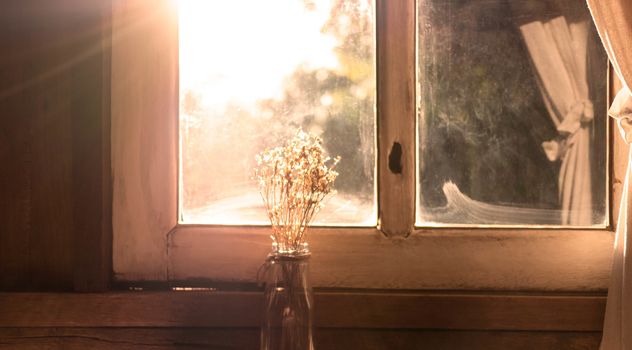 Dry flower vase on wooden table near the window in room with sunlight in evening. Autumn concept.