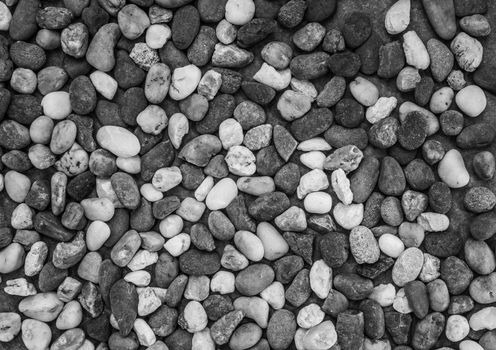 Pebbles pattern or small stones background in garden with copy space for your text. Black and white picture.