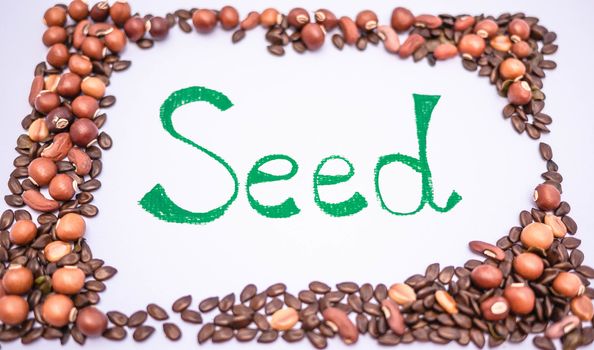 Frame square made from many seed and handwriting word Seed inside. Nature background concept.
