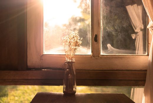 Dry flower vase on wooden table near the window in room with sunlight in evening. Autumn concept.