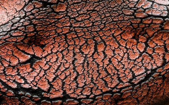 Cracks of leather seats that are covered seats of old bicycle. Brown leather material with cracks as background.