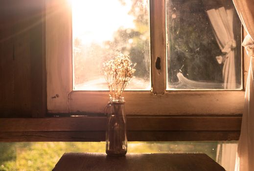 Dry flower vase on wooden table near the window in room with sunlight in evening. Autumn concept.