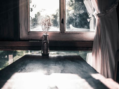 Dry flower vase on wooden table near the window in room with sunlight in evening. Autumn concept.