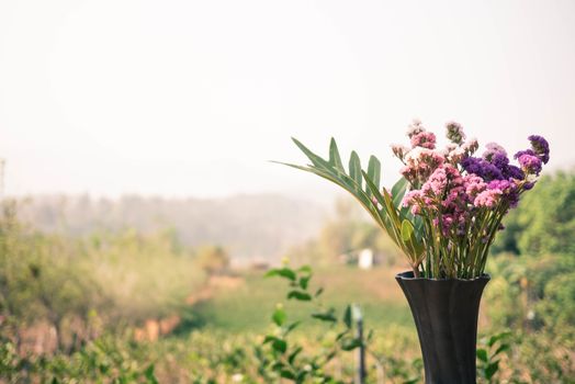 Beautiful flowers in a black vase placed over of the jasmine garden background. Selective focus and space for text.