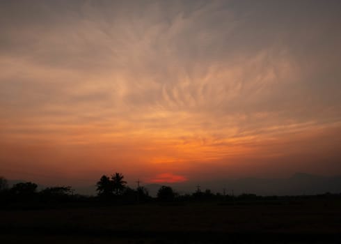 View of Sunset over rice field; Bright dramatic sky and dark ground in countryside Landscape.