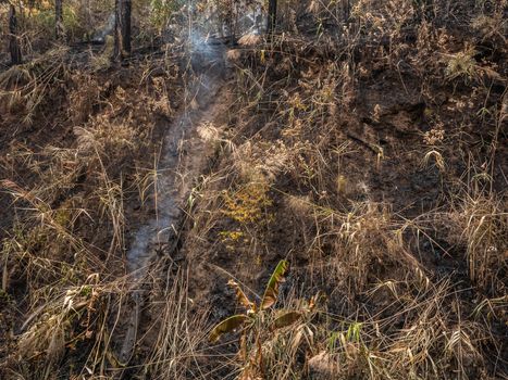 Smoke rising from ground after forest fire, Haze in the atmosphere. Ash covered forest after fire. Wildfire in Hot summer weather at Chiang Mai, Thailand. Selective Focus. PM 2.5