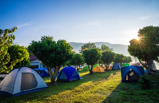 Camping and tent in nature park with sunrise