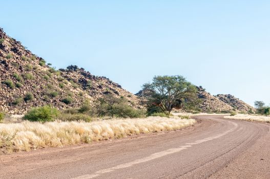 A road landscape on road C16 near Keetmanshoop. Dolorite hills and a camelthorn tree with a community bird nest are visible