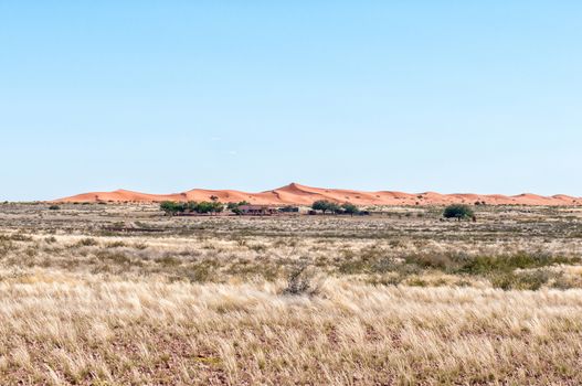 A farm scene in the Kalahari Desert of Namibia. Sand dunes are visible