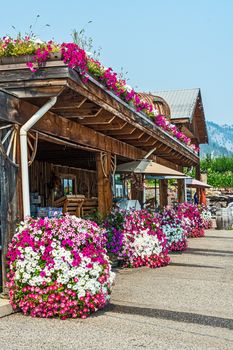 Blossoming flowers in front of a farm shop in Okanagan valley.